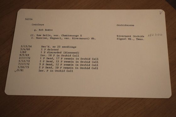 a whtie card with black text featuring plant record information